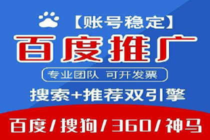 行业标杆：SEM推广代运营成功案例